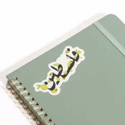Pins & Accessories | Gifts Under $30*Wear The Peace Falasteen Sticker