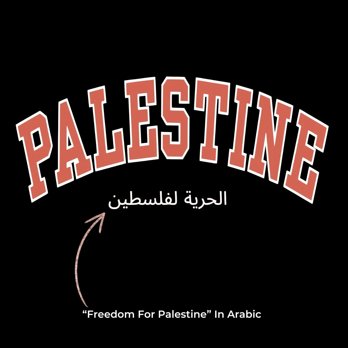 Hoodies & Crews | Hoodies*Wear The Peace Palestine Varsity Hoodie